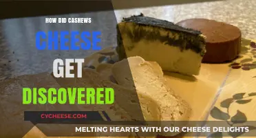 The Evolution of Cashew Cheese: A Tasty Discovery