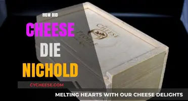 How Cheese Died: Unraveling the Nichold Mystery and Its Aftermath