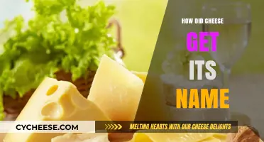The Origin of Cheese: Etymology and History