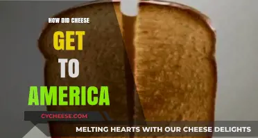 Cheese's Journey to America: A Historical Account