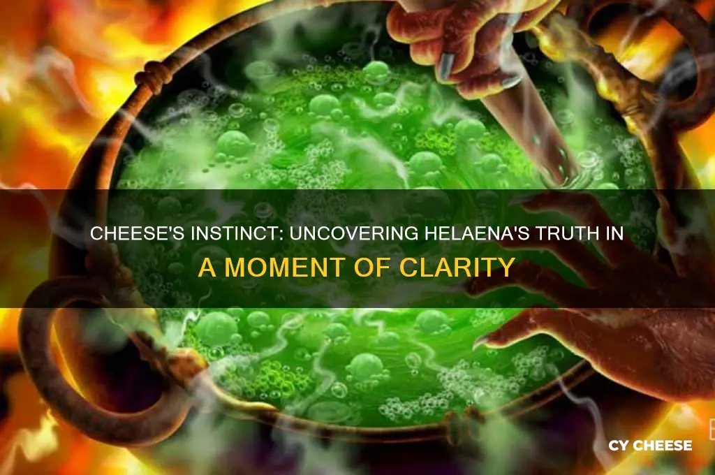how did cheese know helaena was telling the truth