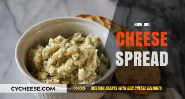 From Ancient Origins to Global Tables: The Journey of Cheese Spread