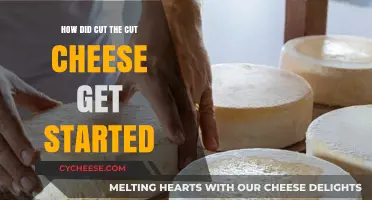 The History of Cut Cheese: How Did It Start?