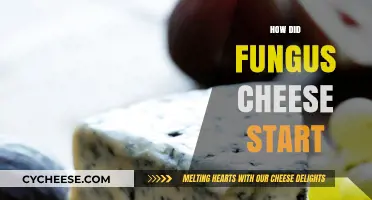 The Surprising Origins of Fungus Cheese: A Tasty History
