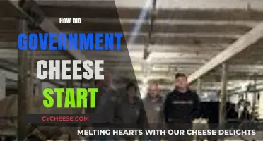 The Surprising Origins of Government Cheese: A Historical Overview