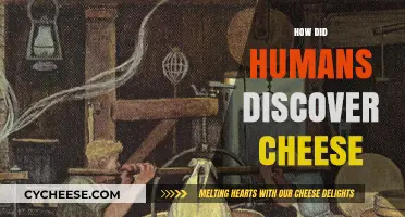 Unraveling the Ancient Mystery: How Humans Discovered Cheese