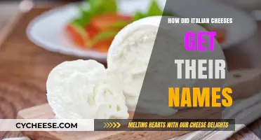 Italian Cheeses: Names and Origins Explored