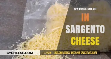 Listeria Outbreak: Sargento Cheese Contamination Mystery
