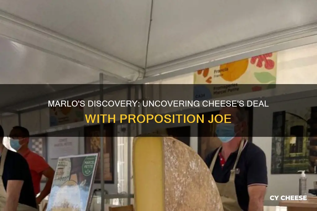 how did marlo find out about cheese proposition joe