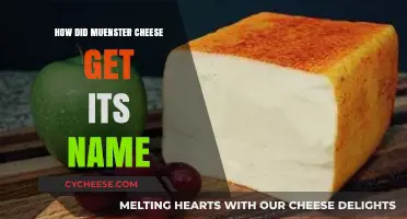 The History Behind the Name of Muenster Cheese