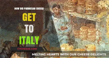 Parmesan Cheese: An Ancient Italian Staple's Origin Story