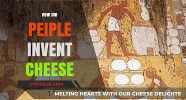 From Milk to Magic: The Ancient Journey of Cheese Invention