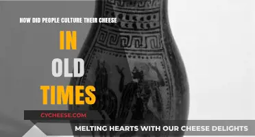 Ancient Cheese Traditions: Uncovering Old-World Culturing Techniques and Practices