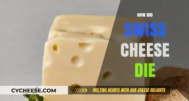 Swiss Cheese's Demise: A Mystery Unveiled