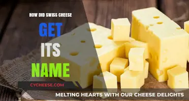 Swiss Cheese: A Hole-y History