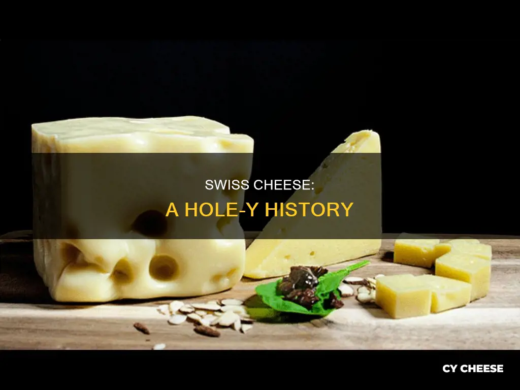 how did swiss cheese get its name