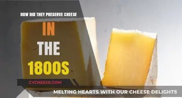 Preserving Cheese in the 1800s: Techniques and Traditions Revealed