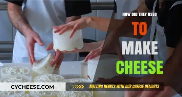 The Ancient Art of Cheese-Making