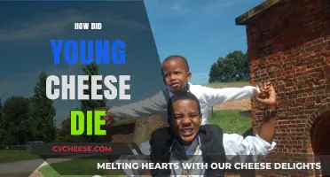 The Tragic End of Young Cheese: Uncovering the Mystery