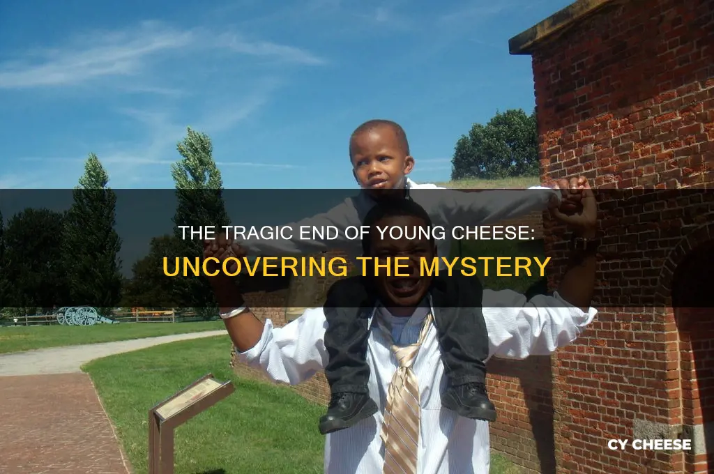 how did young cheese die