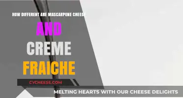 Mascarpones vs. Creme Fraiche: Unraveling the Creamy Differences