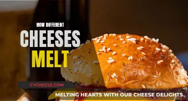 Cheeses' Melting Point: An Exploration of Different Varieties