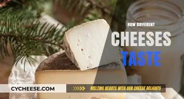 Exploring the Unique Flavors and Textures of Different Cheeses
