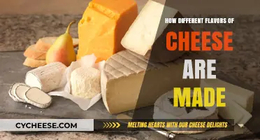 Cheese Varieties: Unveiling the Art of Flavorful Craftsmanship