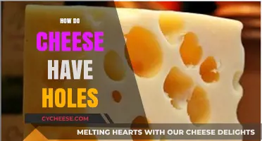 The Science Behind Swiss Cheese: How Holes Form in Cheese