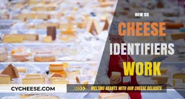 Unveiling Cheese Identification: How Experts Recognize Varieties Accurately