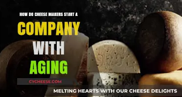 Aging Cheese, Growing Business: Launching a Successful Cheese Company