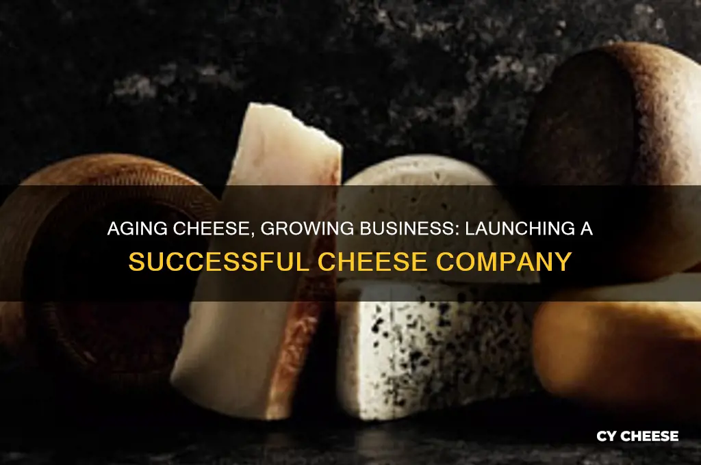 how do cheese makers start a company with aging