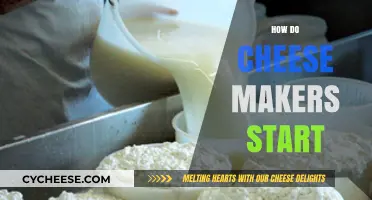 From Milk to Masterpiece: The Art of Starting Cheese Making