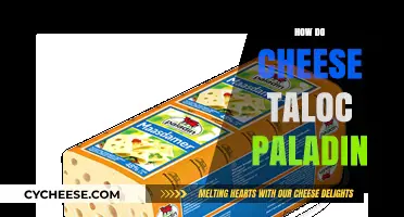 Mastering Cheese Taloc as a Paladin: Strategies for Success in Raids