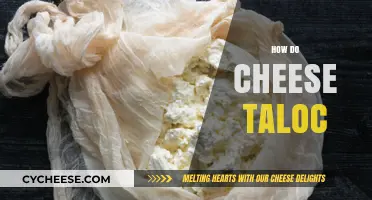 Mastering Cheese Taloc: Techniques, Tips, and Tricks for Success