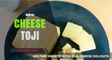 Mastering Cheese Toji: A Step-by-Step Guide to Perfect Fermentation