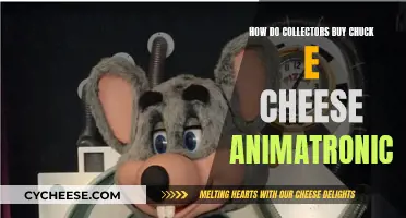 Chuck E. Cheese Animatronics: A Collector's Dream