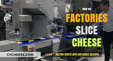 The Art of Cheese Slicing: Factory Techniques Unveiled