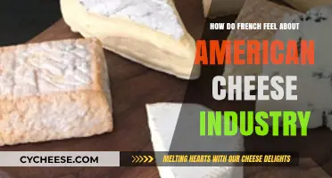 French Perspectives on America's Cheese Industry: A Cultural Comparison