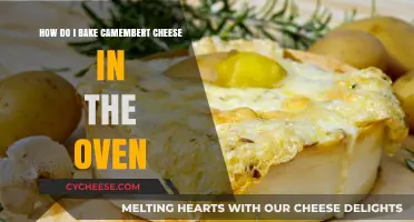 Perfectly Baked Camembert: Easy Oven Method for Creamy Cheese Delight