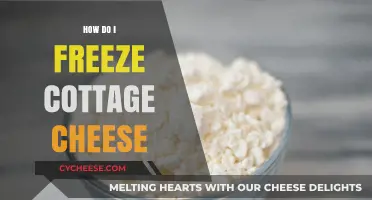Easy Guide: How to Freeze Cottage Cheese for Longer Storage