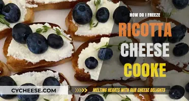 Freezing Ricotta Cheese: A Guide to Preserving Freshness