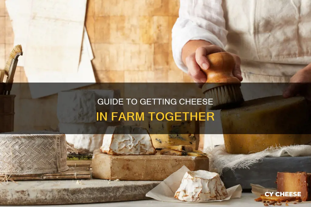 how do i get cheese in farm together