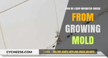 Preventing Mold on Muenster Cheese: Effective Storage Tips and Tricks