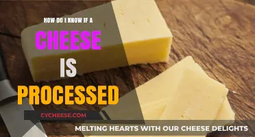 Identifying Processed Cheese: Key Signs and Simple Tips to Spot It