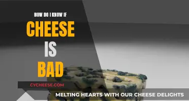 Cheese Gone Bad: How to Tell