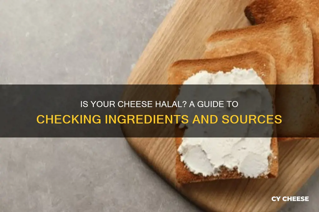 how do i know if cheese is halal