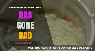 How to Tell If Cottage Cheese Has Gone Bad: Signs and Tips