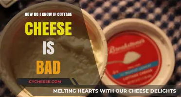 How to Tell if Cottage Cheese Has Gone Bad: Signs to Look For