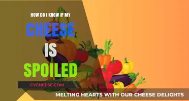 Is Your Cheese Still Good? Signs of Spoilage to Watch For